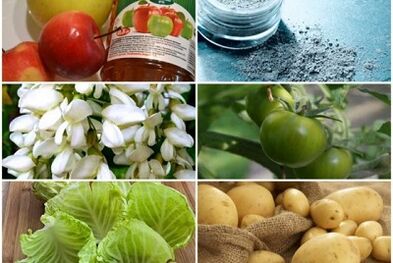 داروهای عامیانه برای درمان رگهای واریس