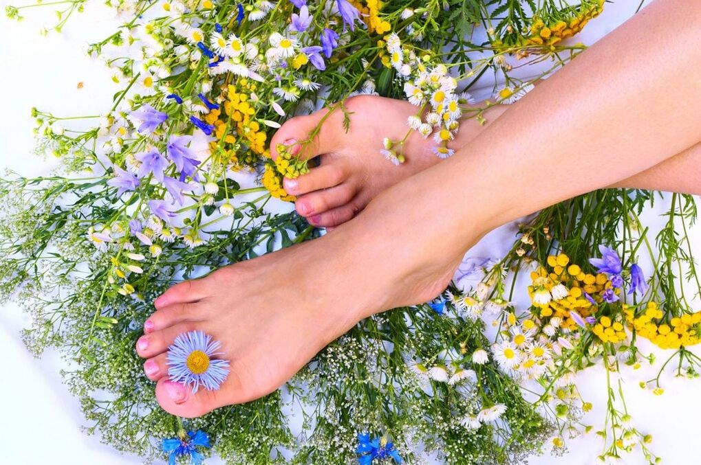گیاهان از رگه های واریس