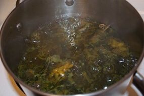 درمان واریس با جوشانده